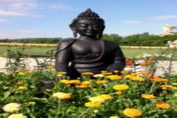 Photograph for the Shanti Namo Buddha School article