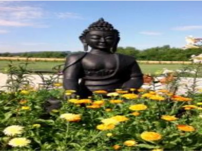 Photograph for the Shanti Namo Buddha School article